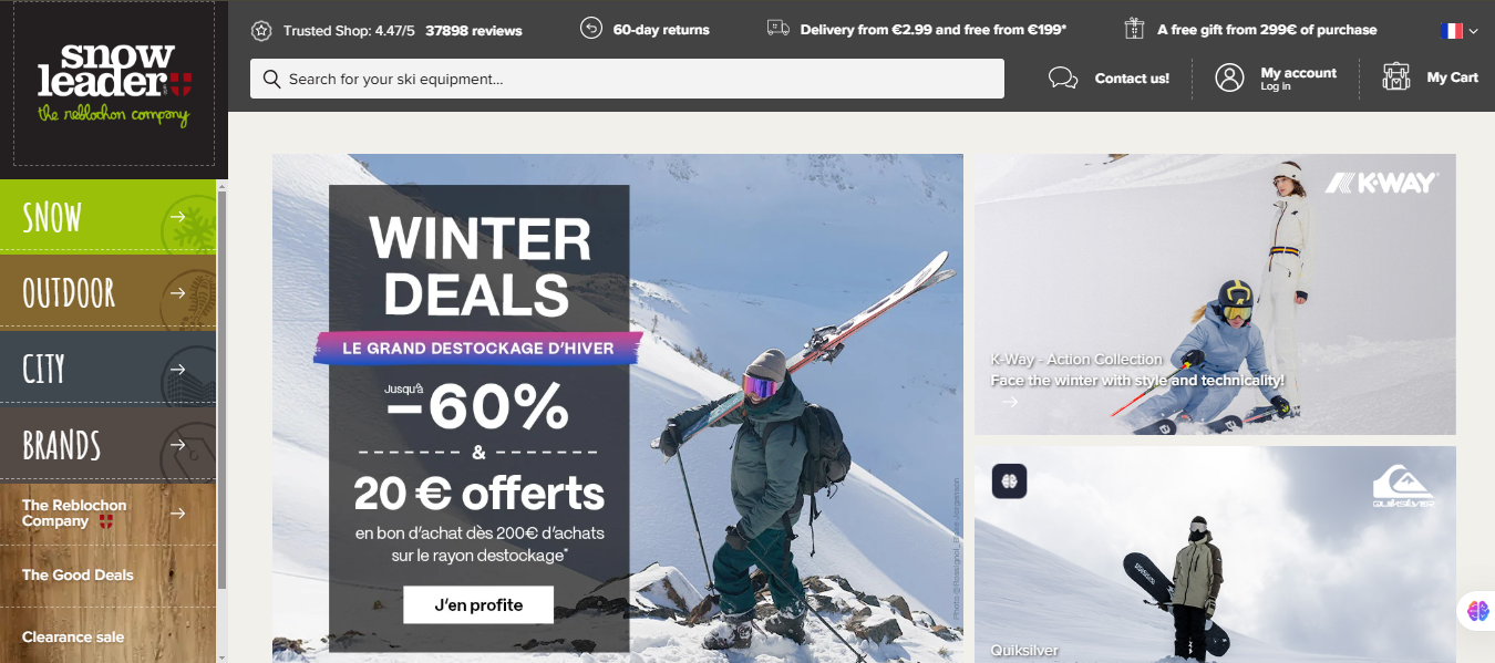Screenshot of Homepage of Official Website of SnowLeader